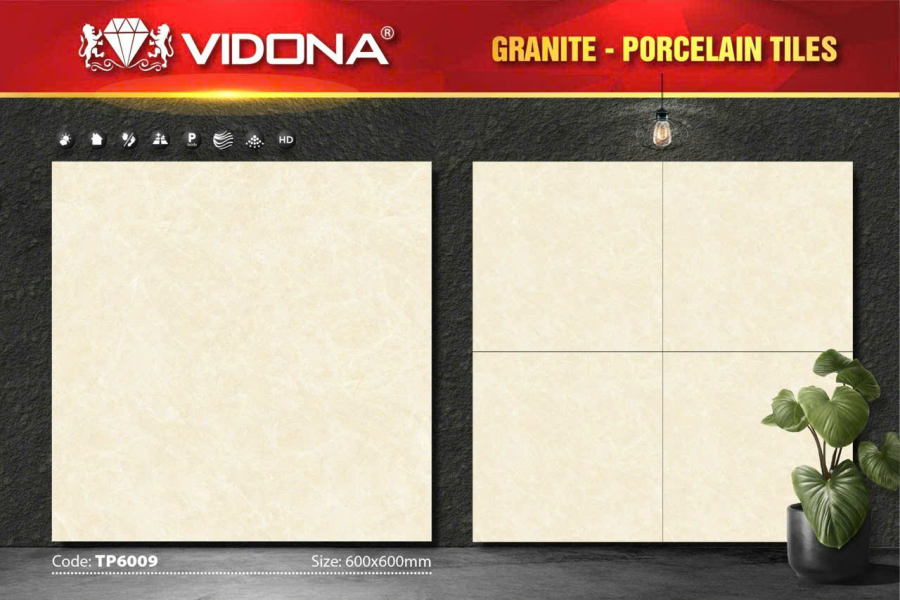 VIDONA TP 6009